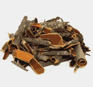 Bilgi724.com – Doğru Bilgi ⚡ 26 barut ağacı kabuğunun faydaları nelerdir