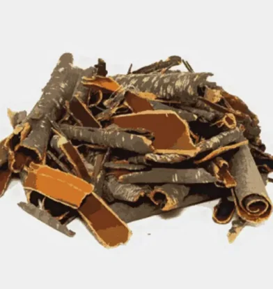 barut ağacı kabuğunun faydaları nelerdir