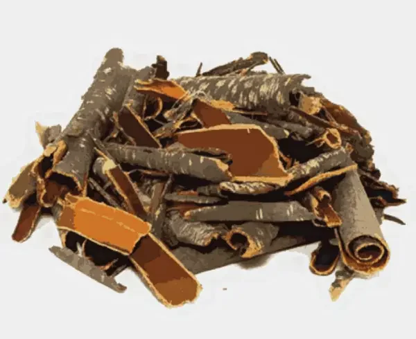 barut ağacı kabuğunun faydaları nelerdir